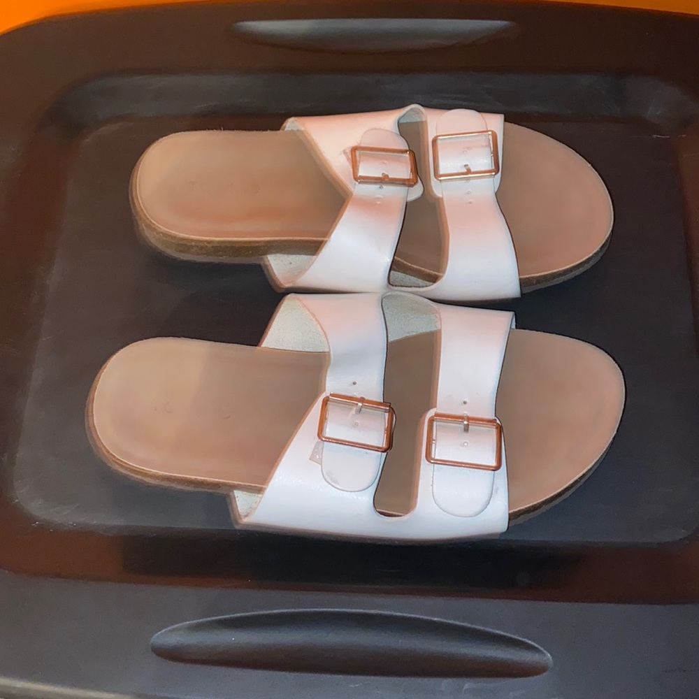 Torrid Slides